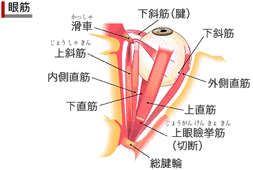 ؁i]ډ摜j