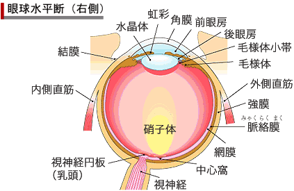 ዅi]ډ摜j